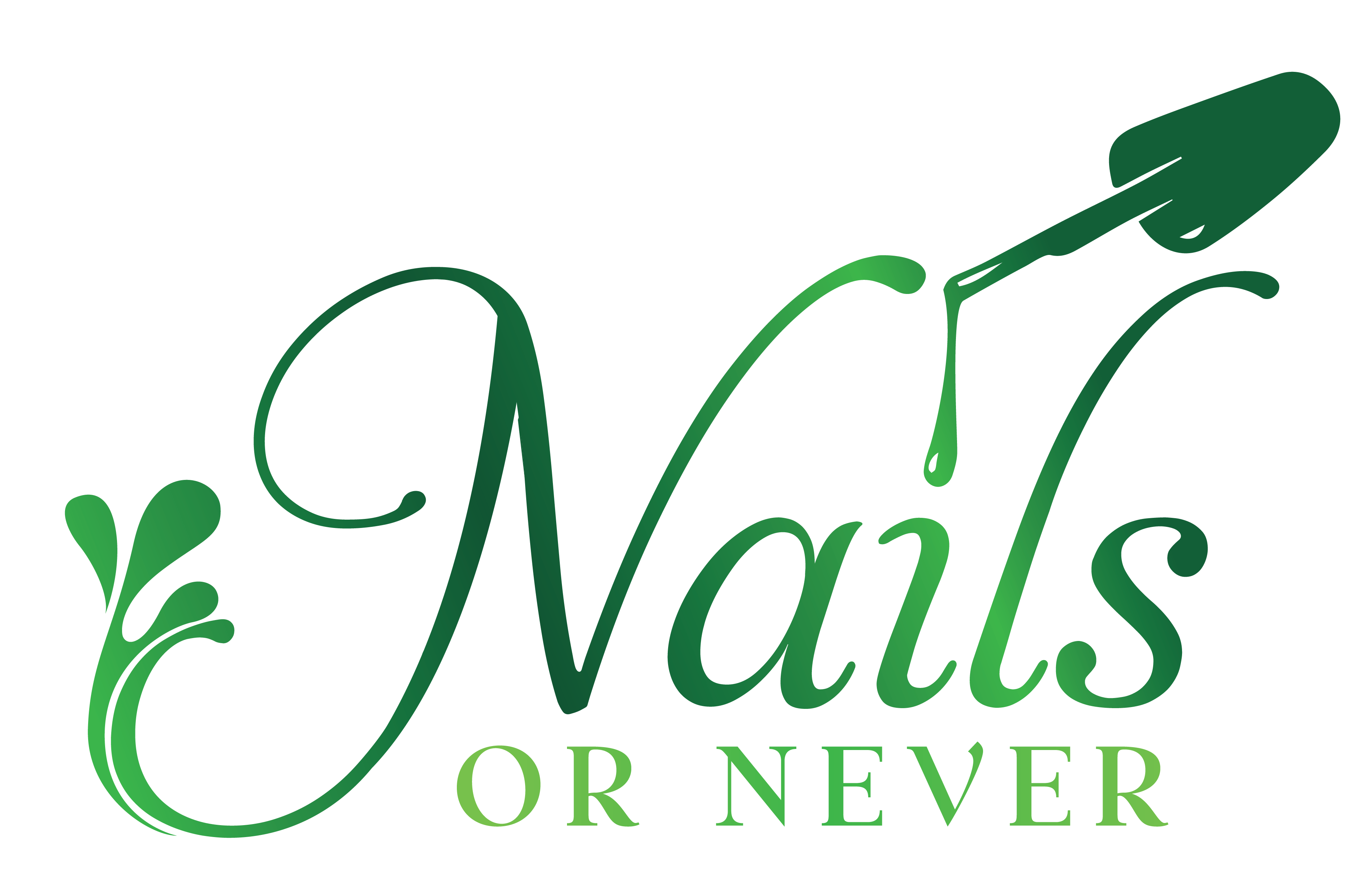 nailsornever.com logo